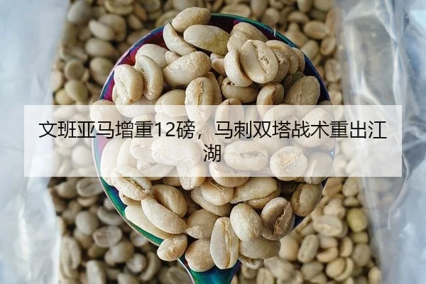 wen-ban-ya-ma-zeng-zhong-bang-ma-ci-shuang-ta-zhan-shu-chong-chu-jiang-hu-2-207.jpg